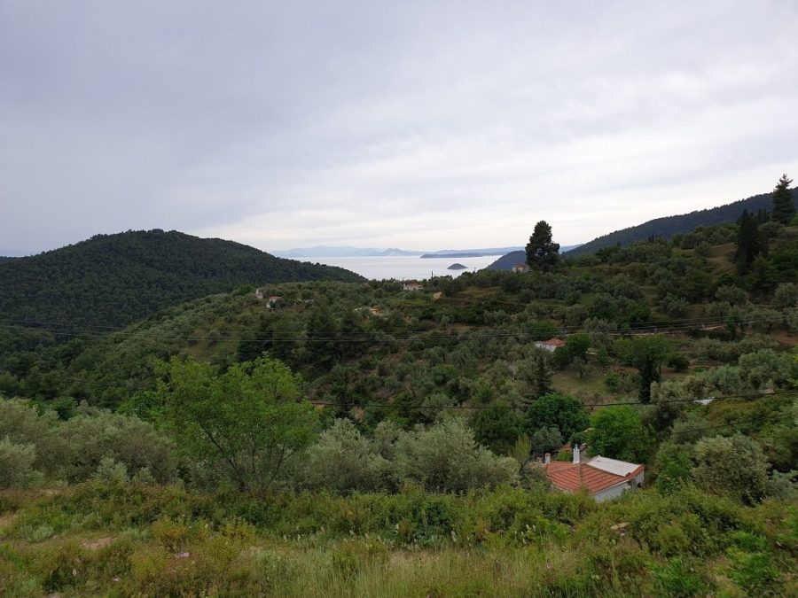 For Sale Agricultural Land 9400 sq.m. Sporades-Skopelos – Ditropos