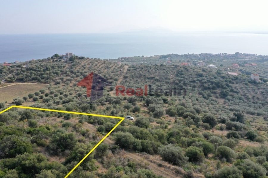 For Sale Agricultural Land 4000 sq.m. Nea Achialos –