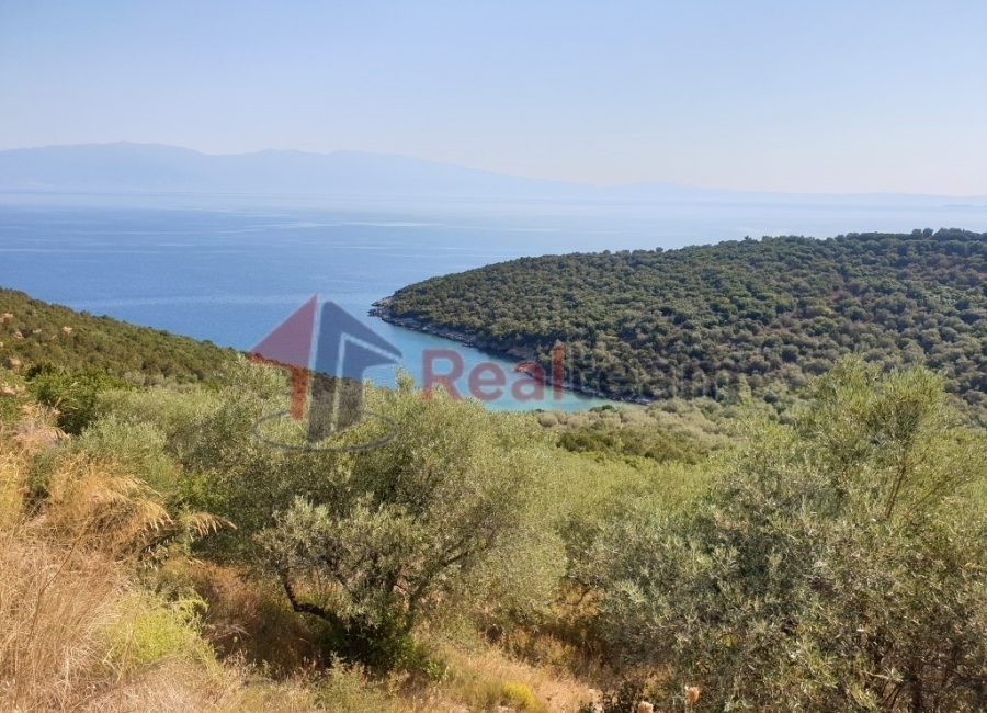For Sale Agricultural Land 38042 sq.m. Sourpi – Amaliapoli