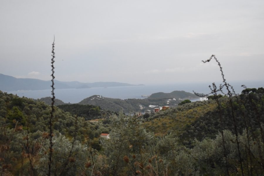 For Sale Agricultural Land 10565 sq.m. Sporades-Skiathos – Main town – Chora