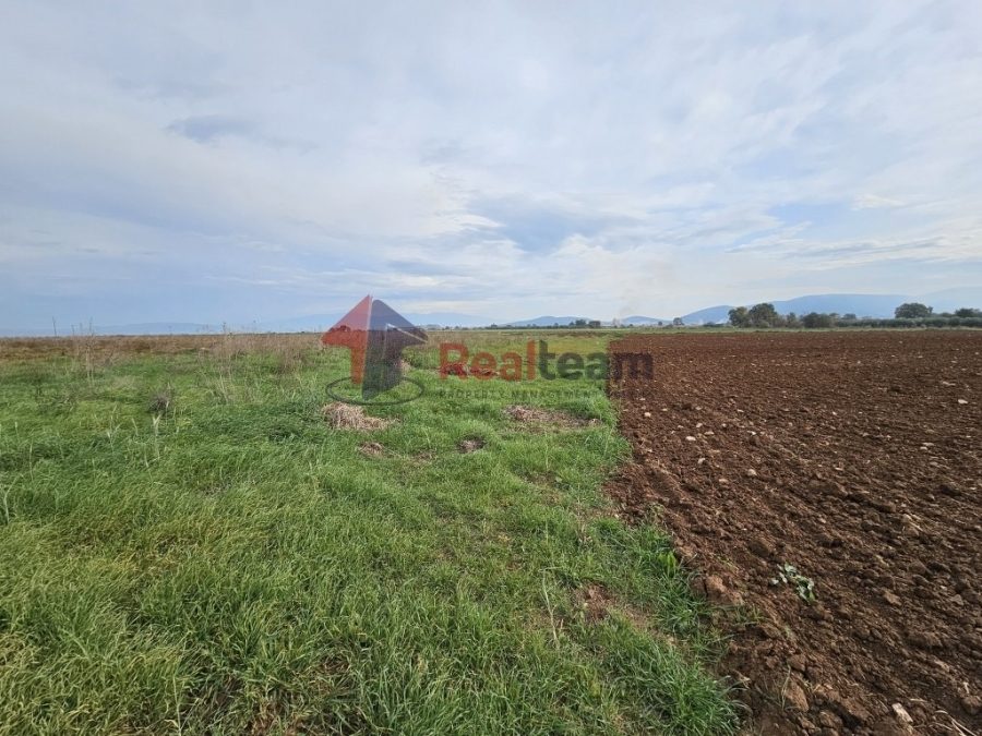 For Sale Agricultural Land 4500 sq.m. Almyros – Platanos