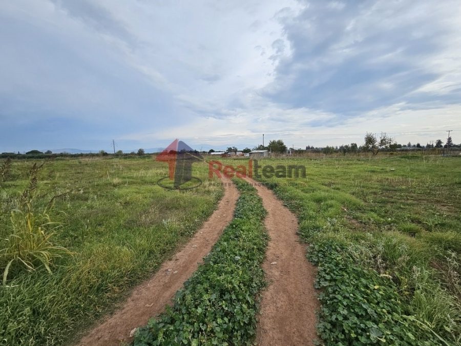 For Sale Agricultural Land 1000 sq.m. Almyros –