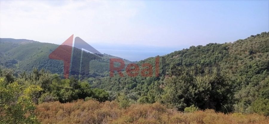 For Sale Agricultural Land 8000 sq.m. Pilio-Sipiada – Mousges