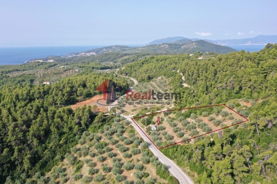 For Sale Agricultural Land 6600 sq.m. Sporades-Alonnisos – Isiomata