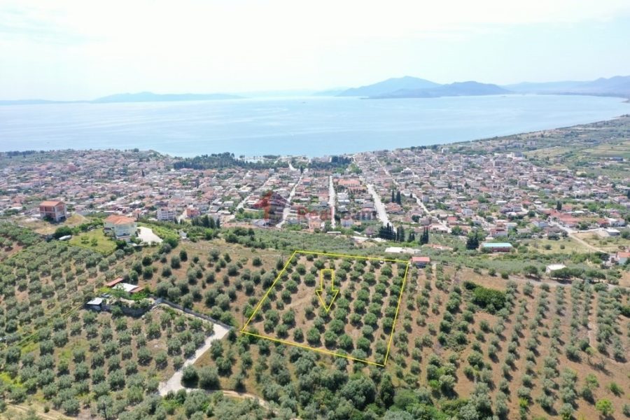 For Sale Agricultural Land 4200 sq.m. Nea Achialos – Center