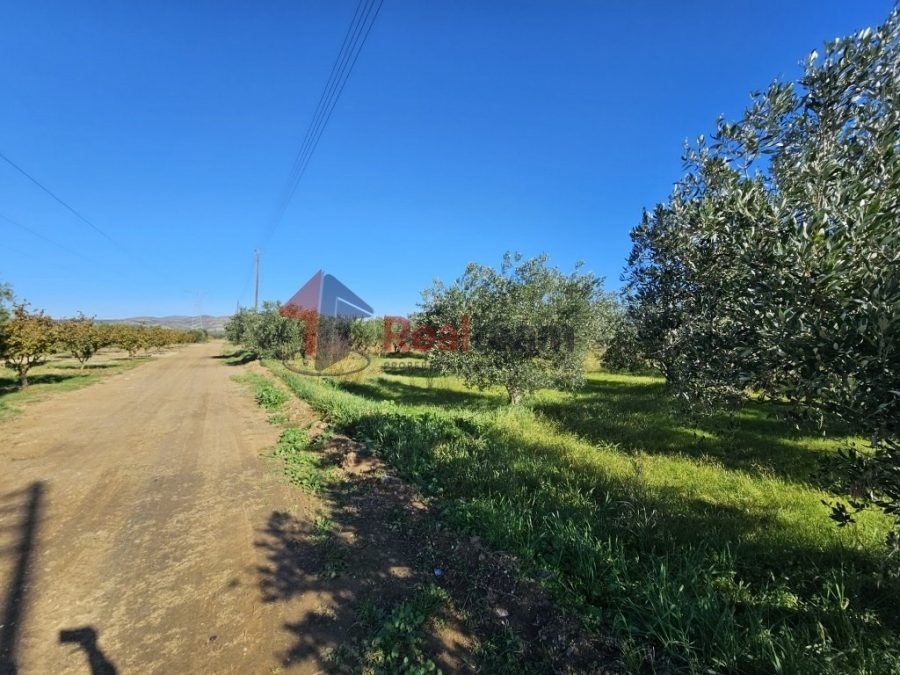 For Sale Agricultural Land 6500 sq.m. Nea Achialos – Aidini