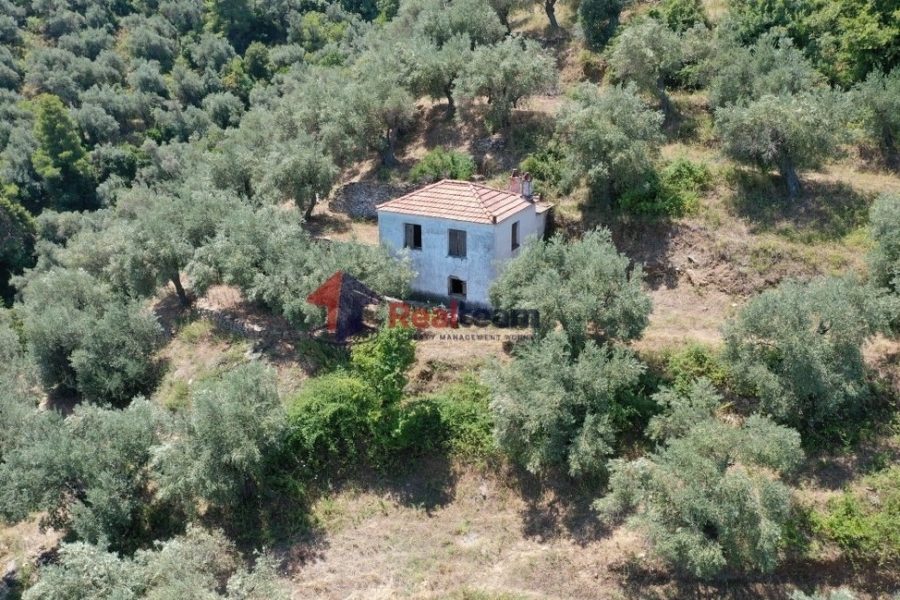 For Sale Plot out of City plans 5517 sq.m. Sporades-Skopelos – Main town – Chora