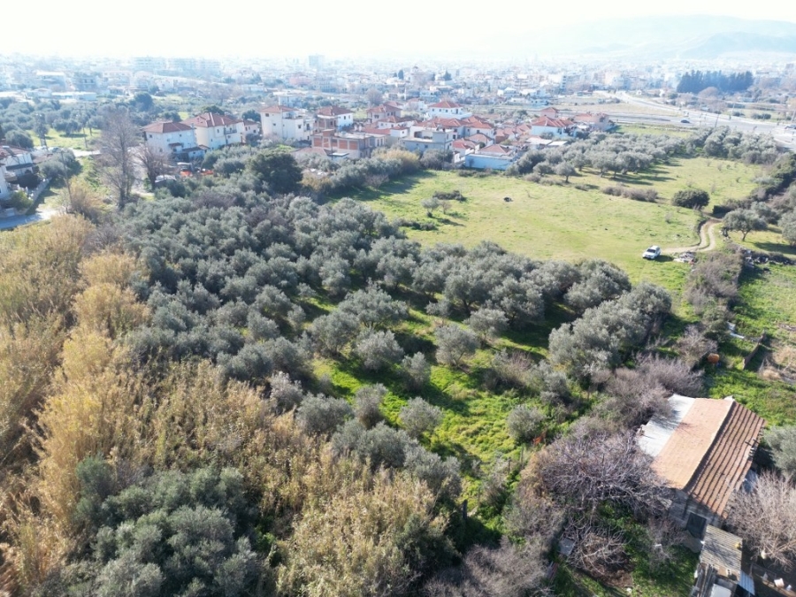For Sale Agricultural Land 1186 sq.m. Volos – Agia Paraskevi